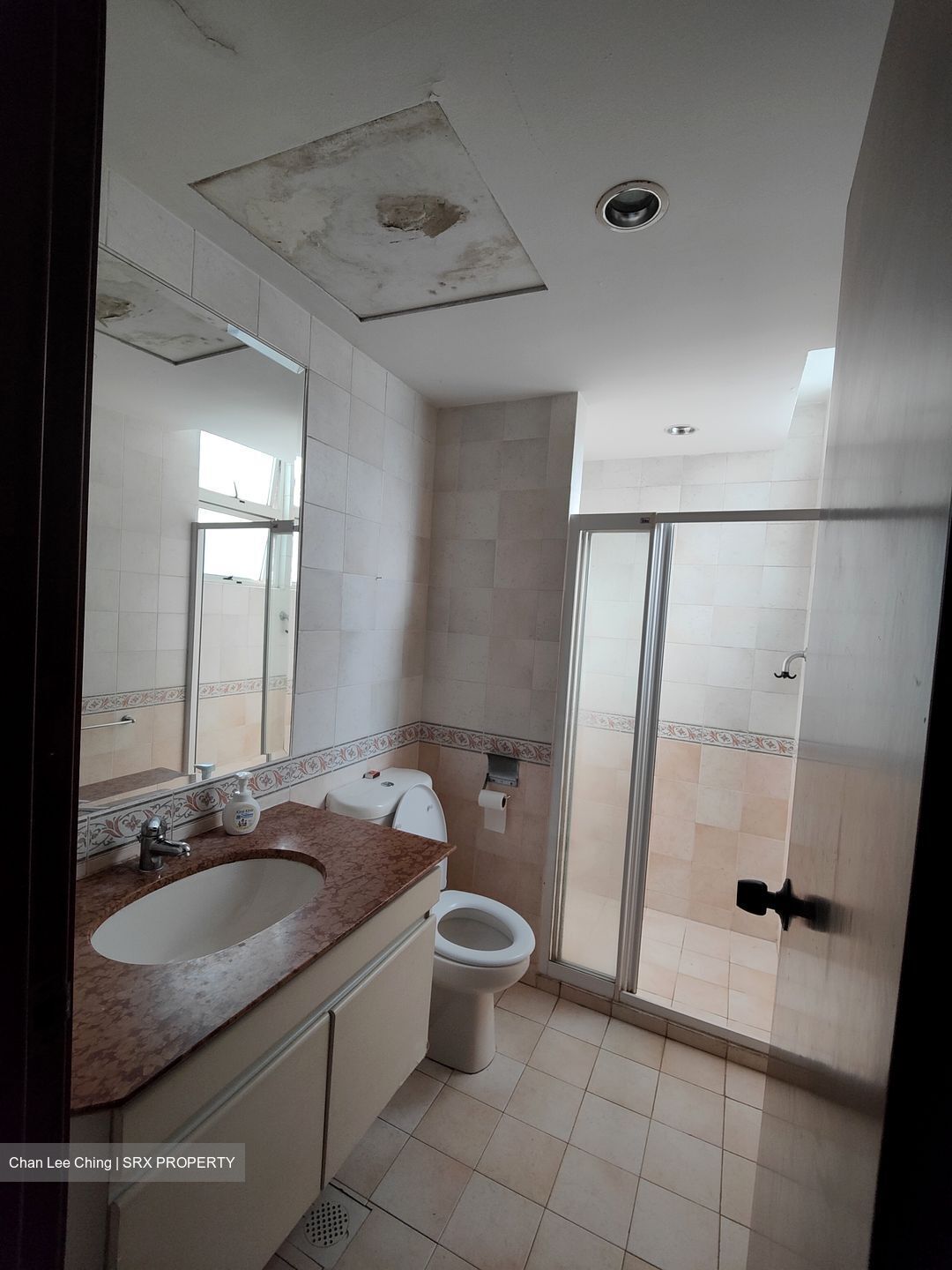 Woodgrove Condominium (D25), Condominium #460355001